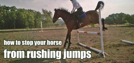 Showjumping exercise for horses that rush