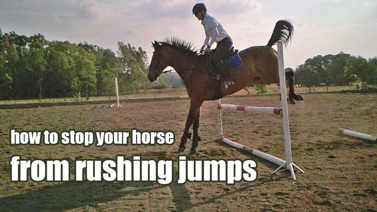 Showjumping exercise for horses that rush