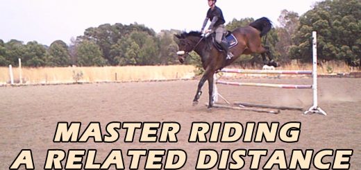 What is a related distance in show jumping