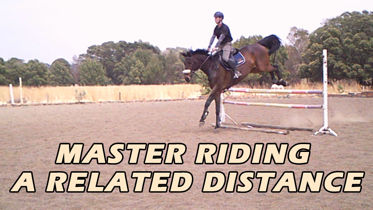 What is a related distance in show jumping