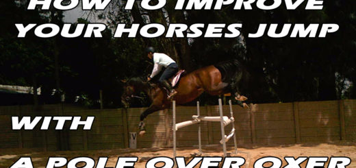 Showjumping exercises