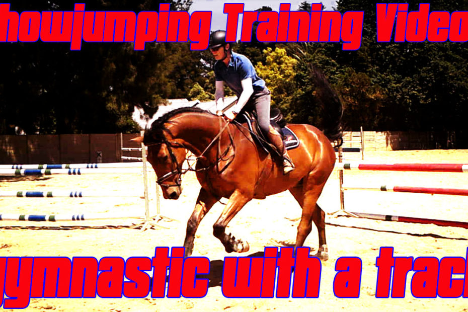 good jumping exercises for horses