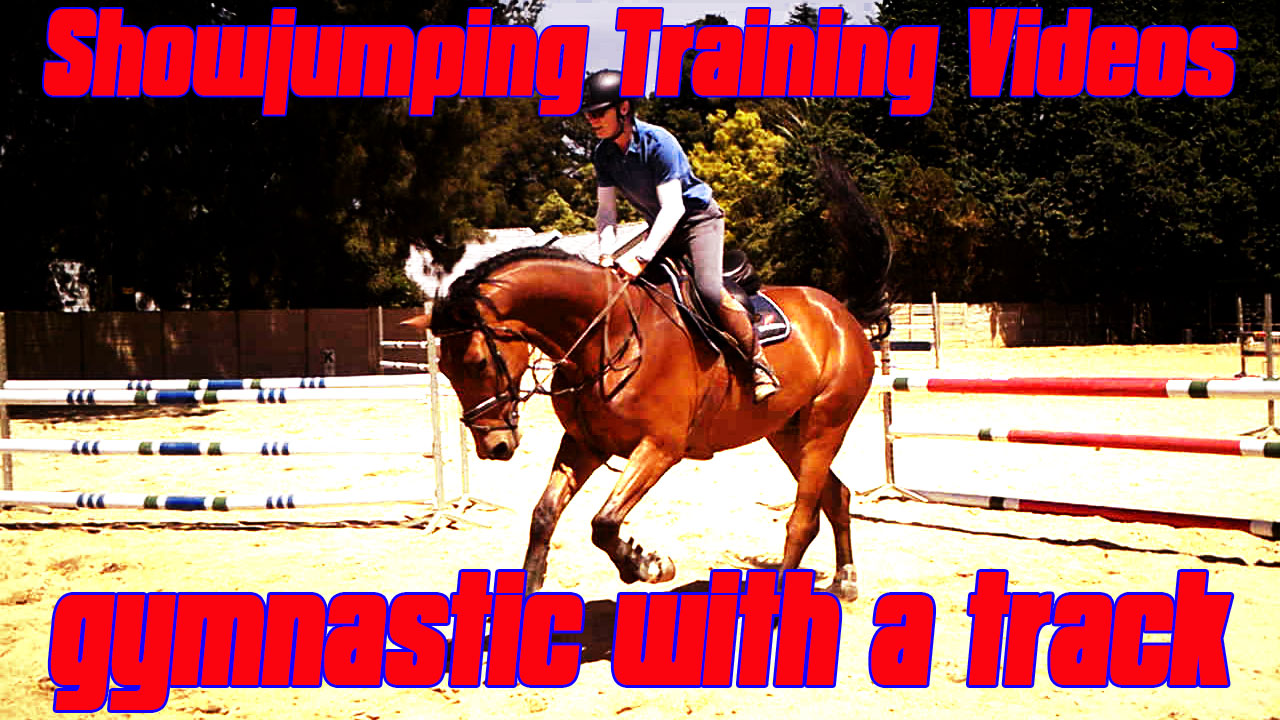 good jumping exercises for horses