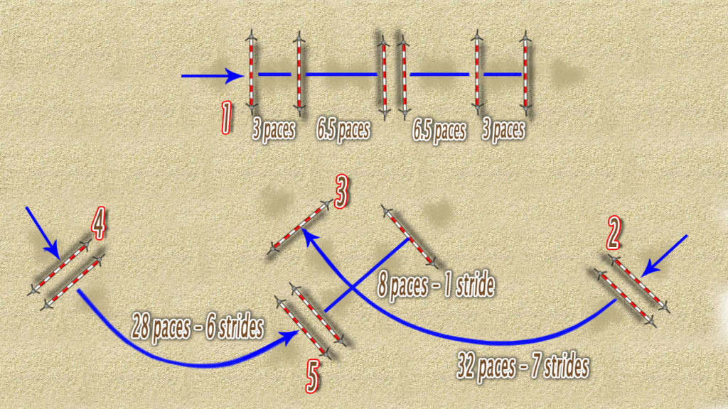 Show jumping exercises