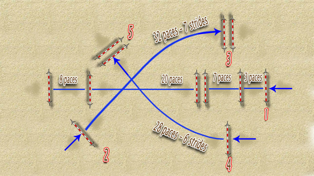 Grid work exercises for horses