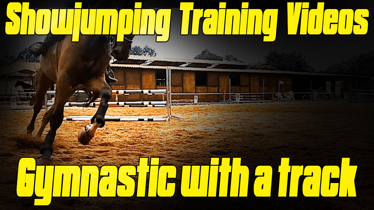 showjumping exercises for horse and rider