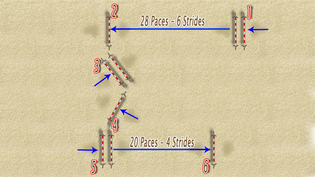 show jumping exercises for young horses