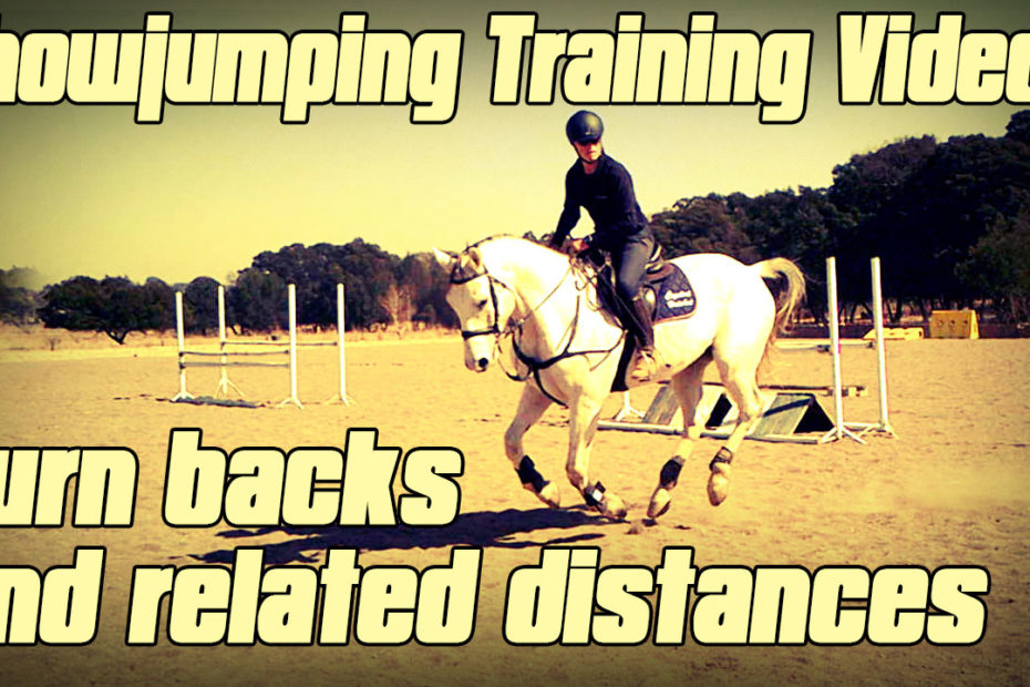 show jumping exercises for young horses