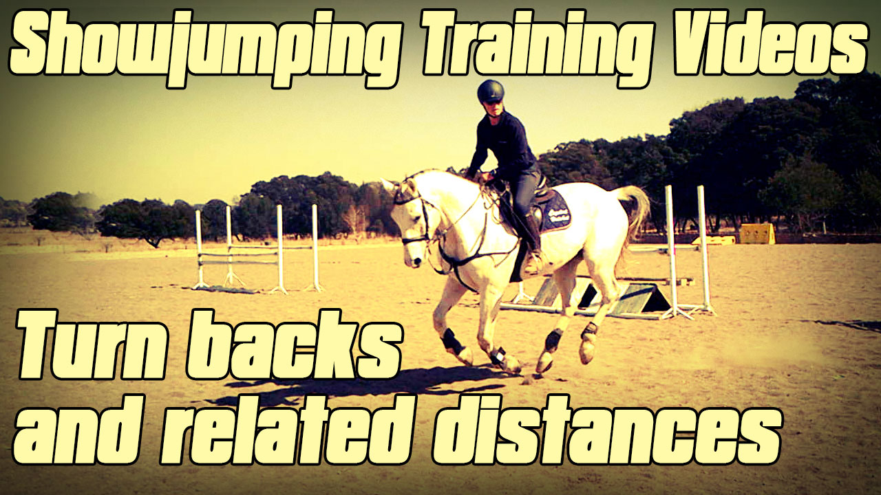 show jumping exercises for young horses