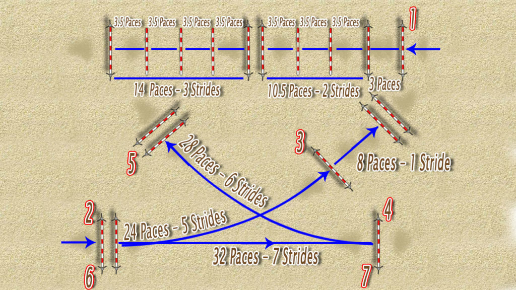 Show jumping training courses