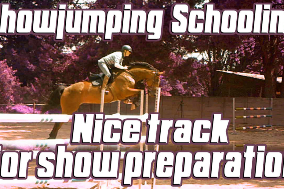 showjumping tips
