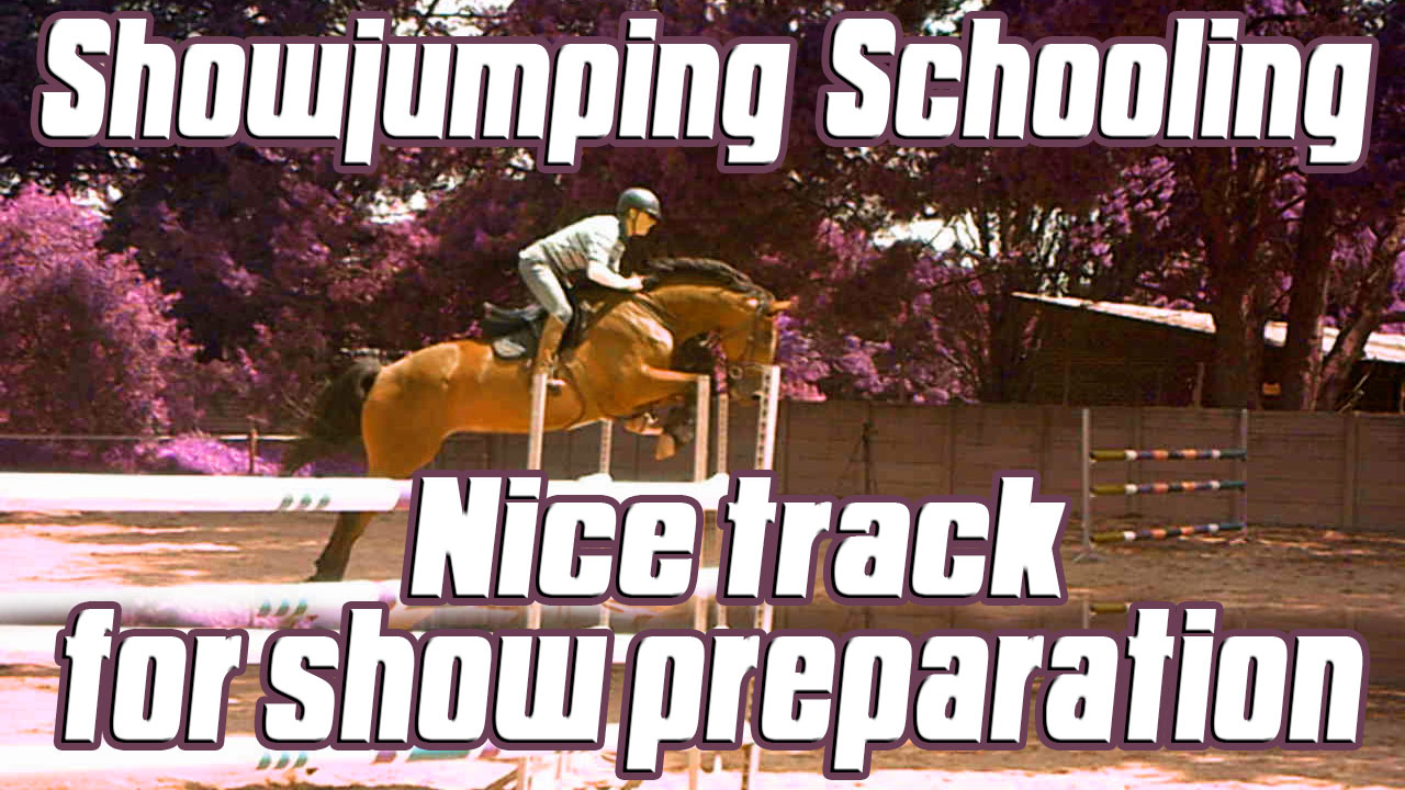 showjumping tips