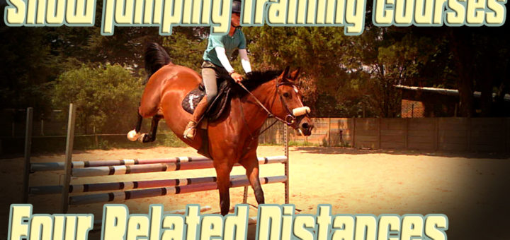 Show jumping training courses