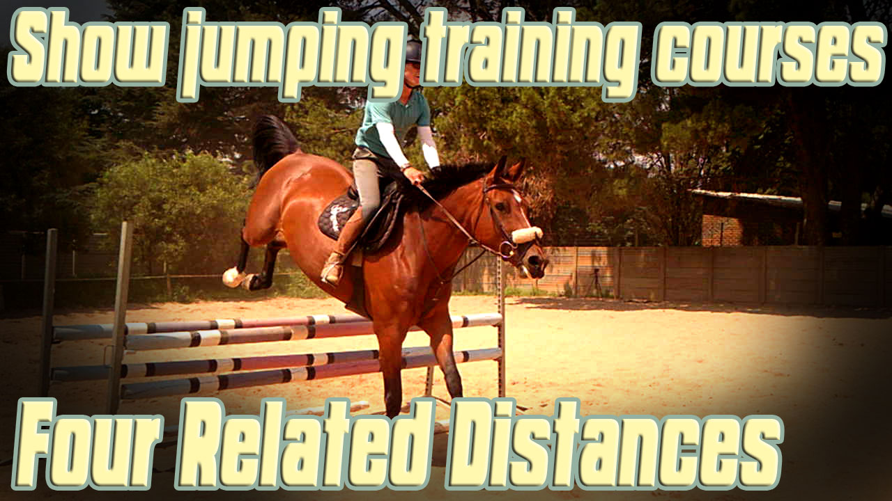 Show jumping training courses