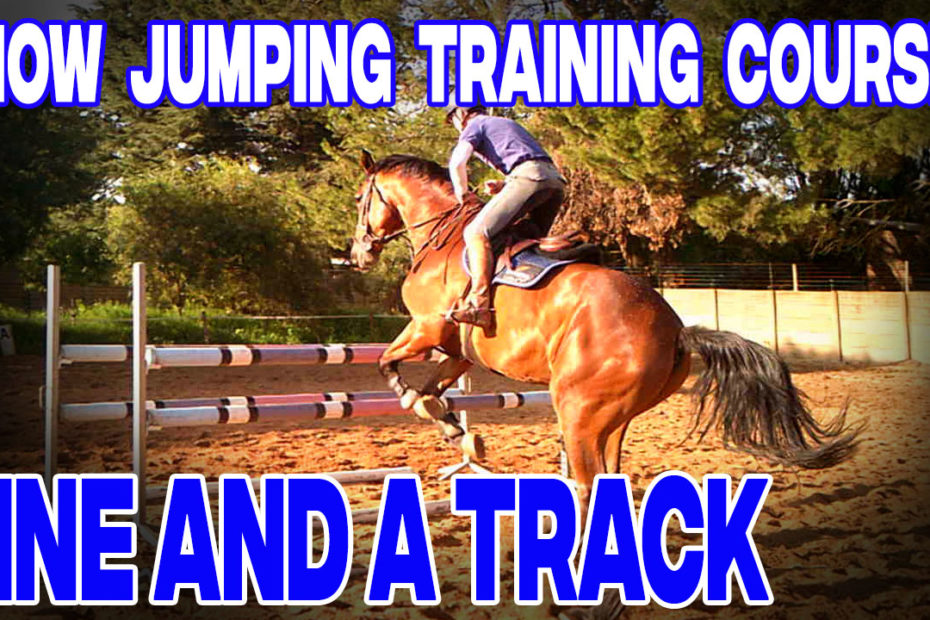 How to train a horse for show jumping