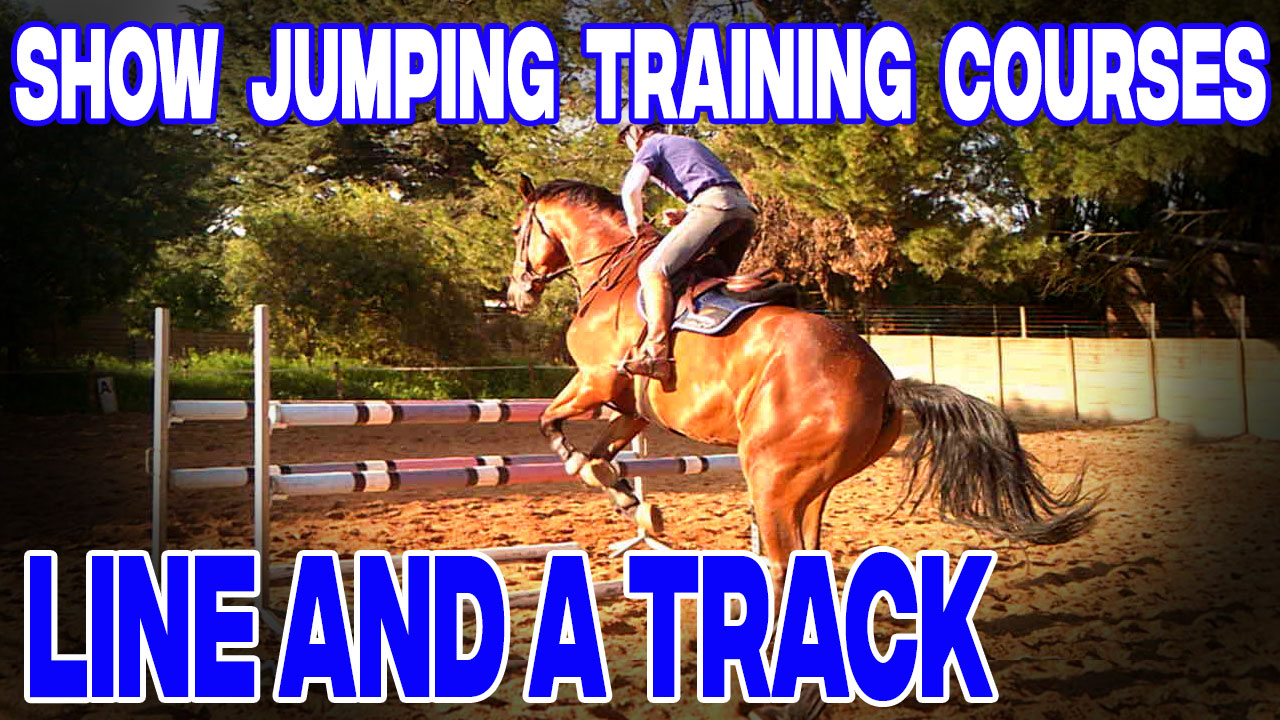 How to train a horse for show jumping