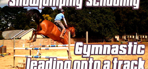 Tips for showjumping