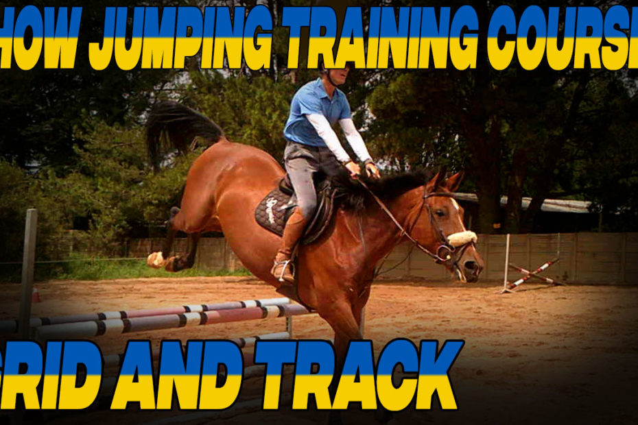 Show jumping tips for beginners