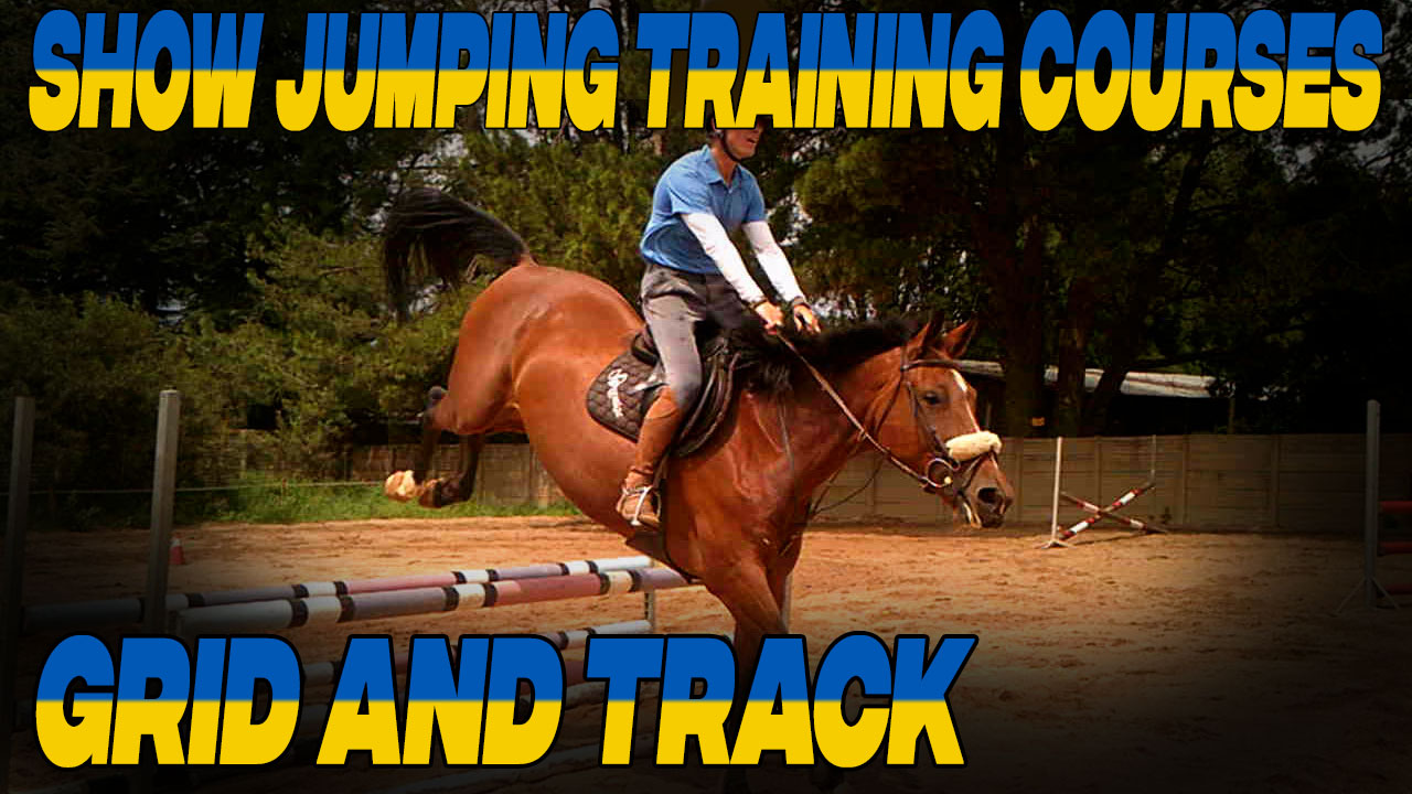 Introduction to Jumping in Horseback Riding