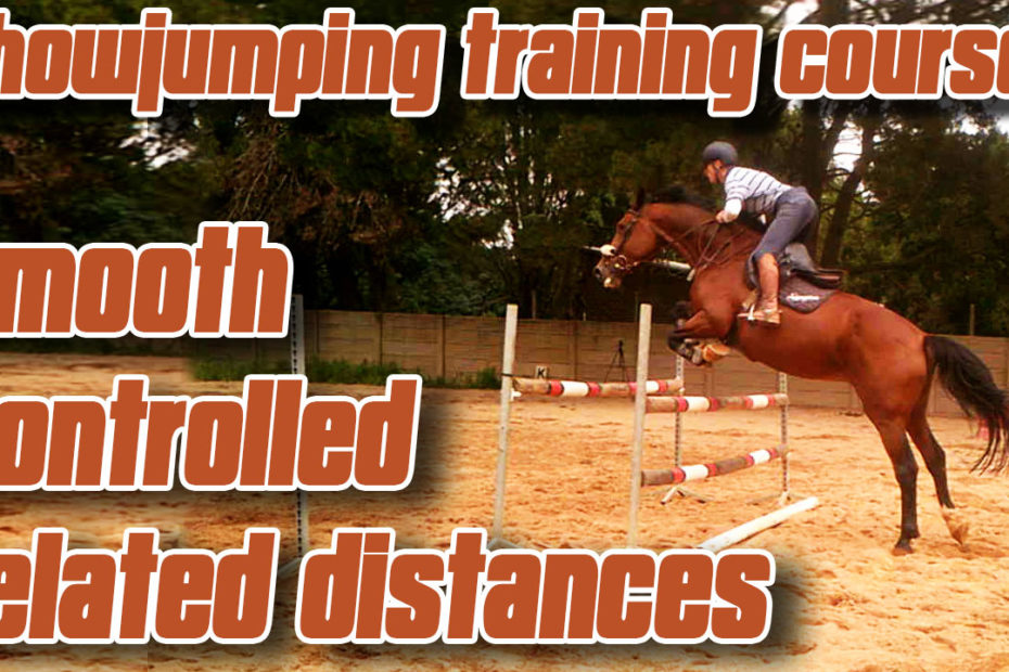 Show jumping training techniques