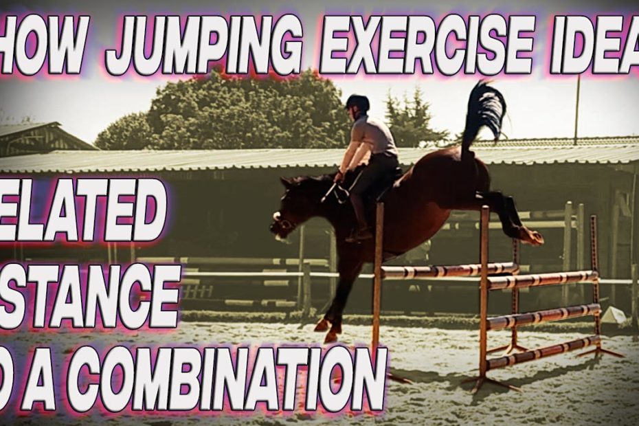 Jumping exercises for horses