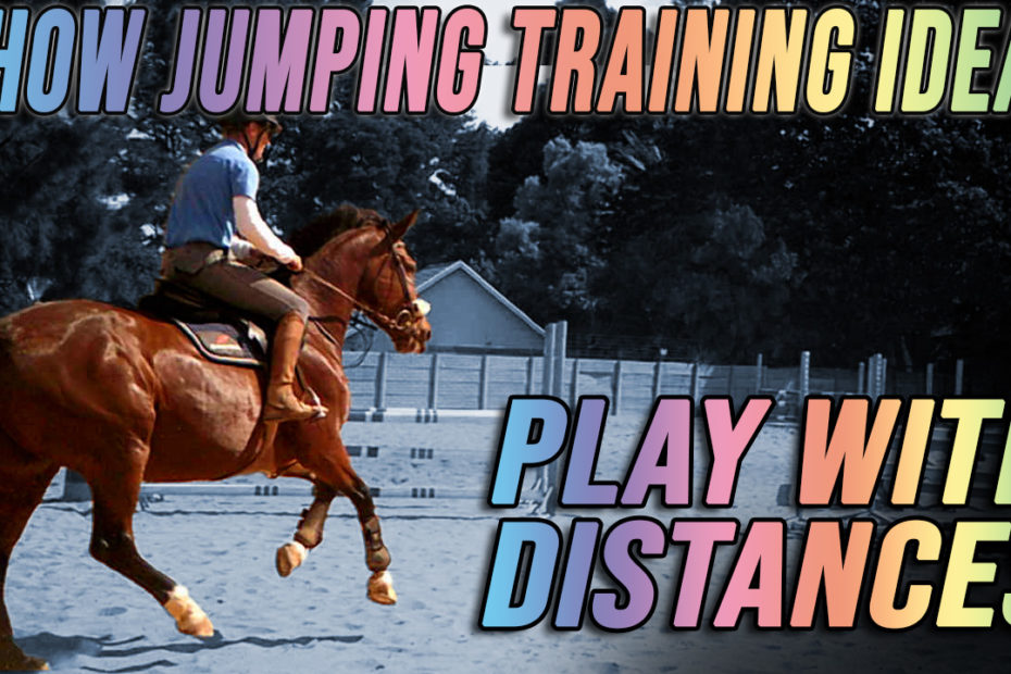 horse jump training