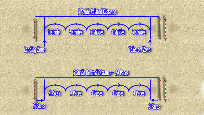 What is a related distance in show jumping