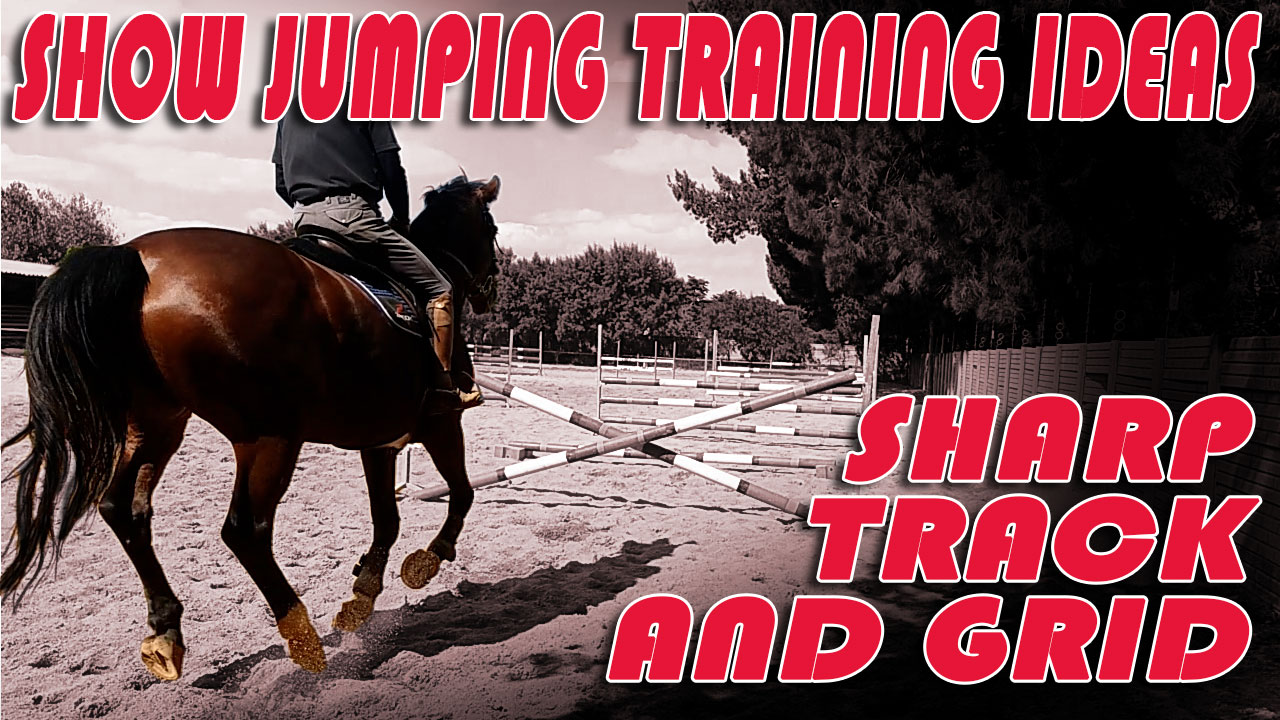 show jump training