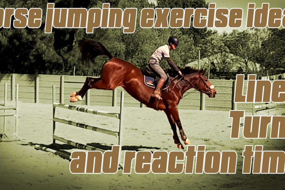 Training for show jumping