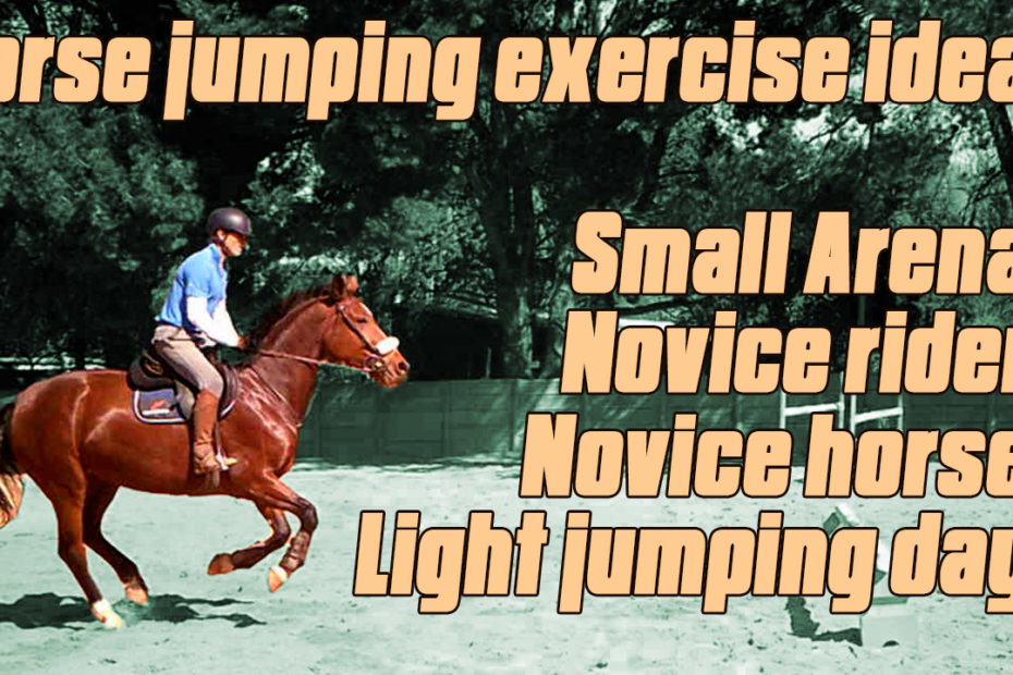 How to teach a horse to jump