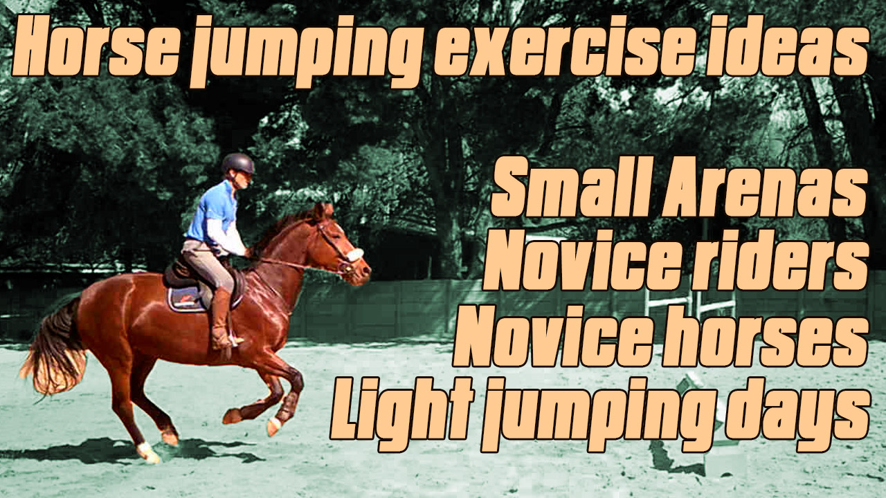 How to teach a horse to jump