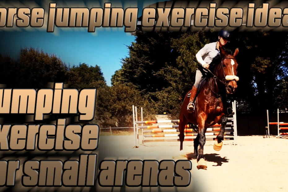Jumping exercises for small arenas