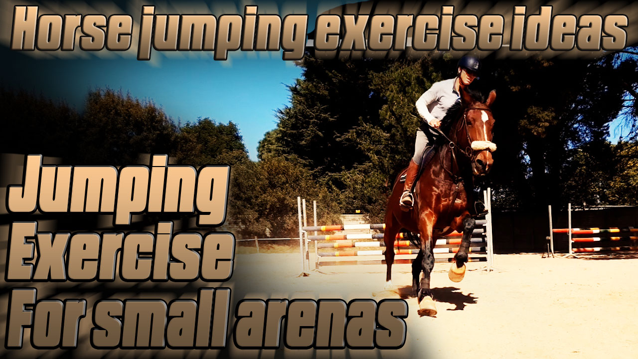 Jumping exercises for small arenas