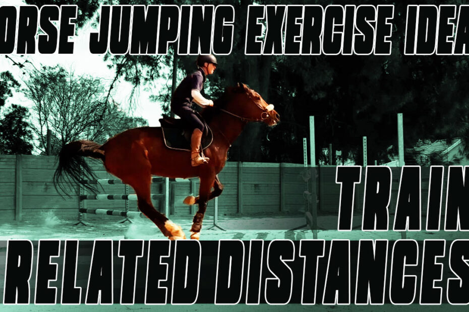 Horse jumping training