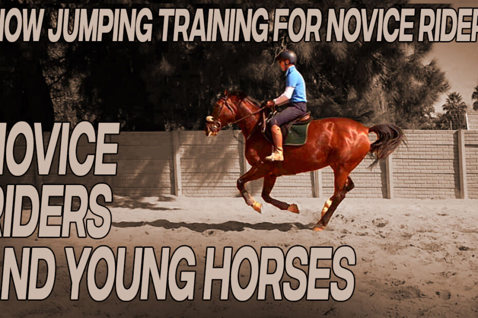 jumping exercises for green horses