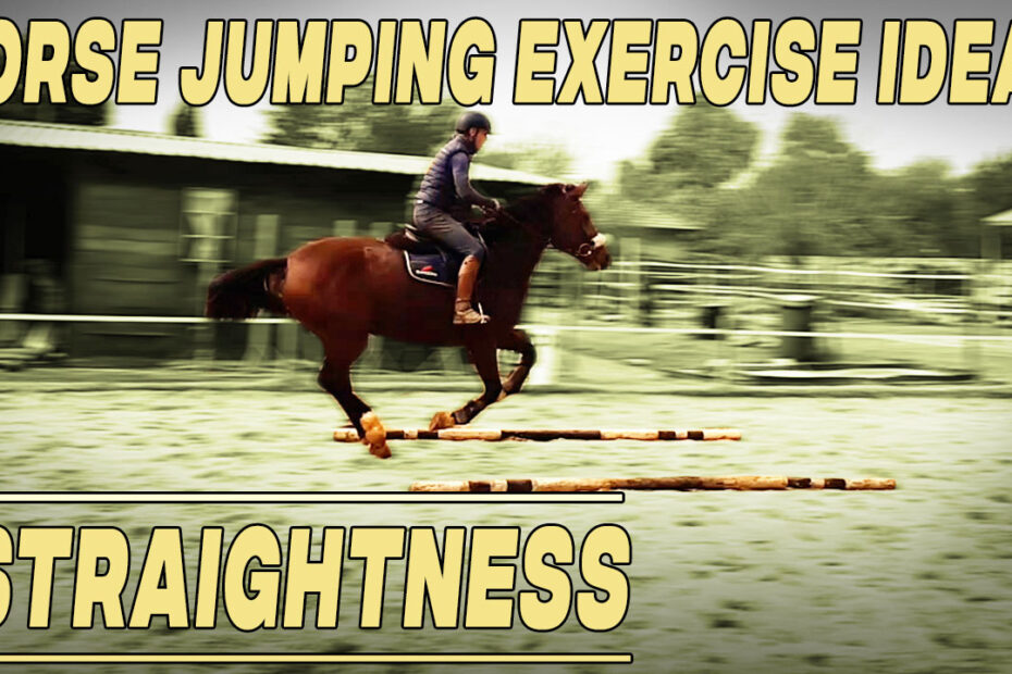 Horse jumping how to