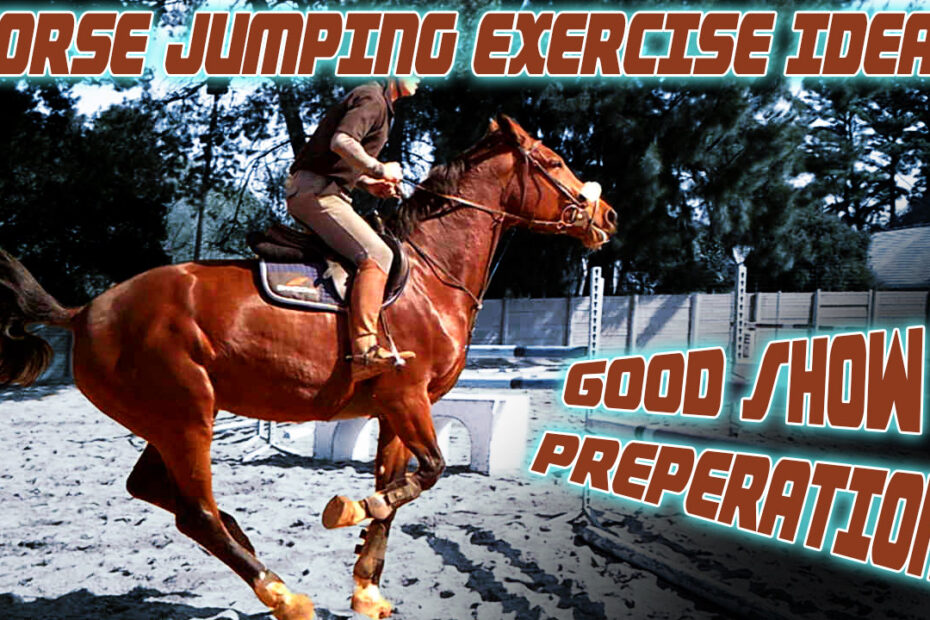 prepare for horse jumping shows