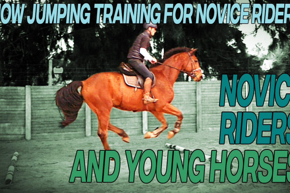 Jumping exercises for young horses