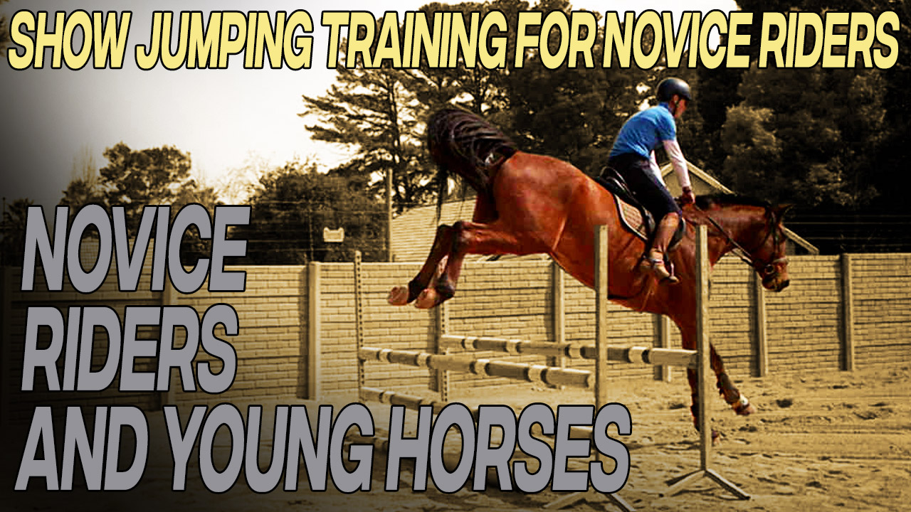 Fun jumping exercises for horses