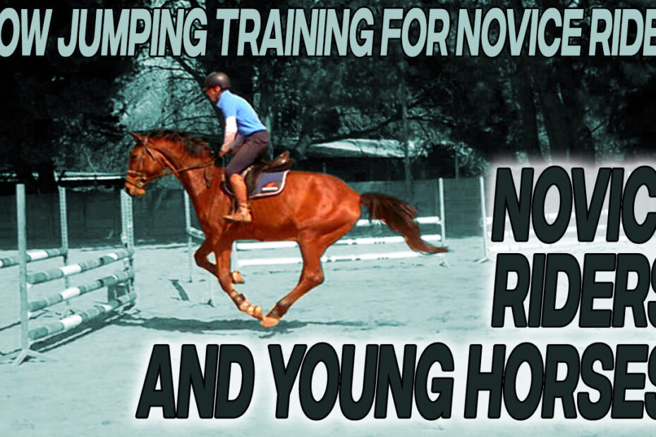 Training the young horse