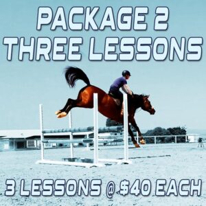 Online coaching - Package Two - 3 x lessons