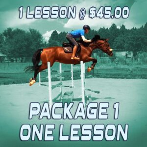 Online showjujmping coaching - Package One - 1 x lesson