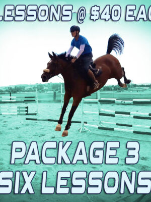 Online coaching - Package Three - 6 x lessons