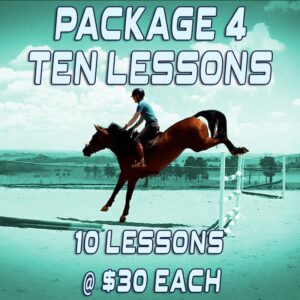 online showjumping lessons