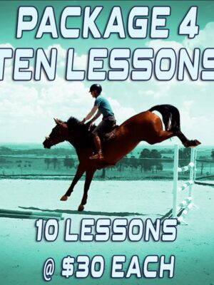 online showjumping lessons