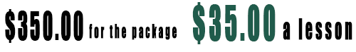 Online showjumping coaching package four