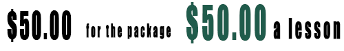 Online showjumping coaching package one