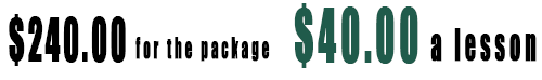 Online showjumping coaching package three