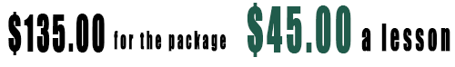 Online showjumping coaching package two